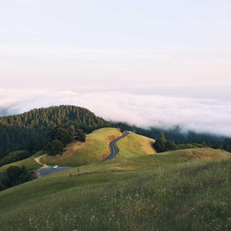 Adjustable Dumbbell Set