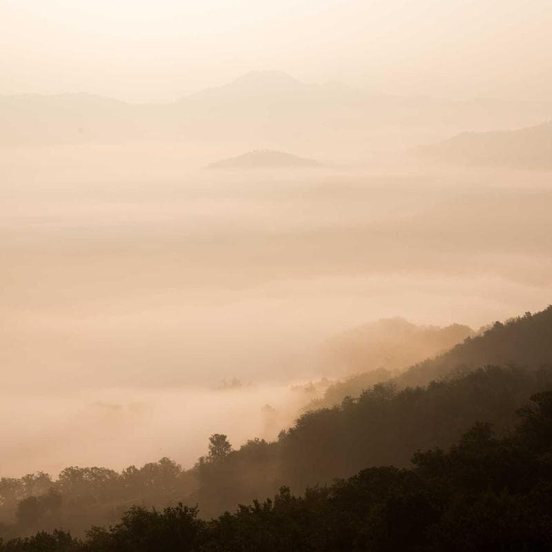 Lightweight Down Jacket