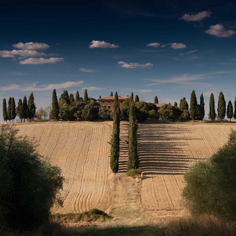 Polarized Aviator Sunglasses