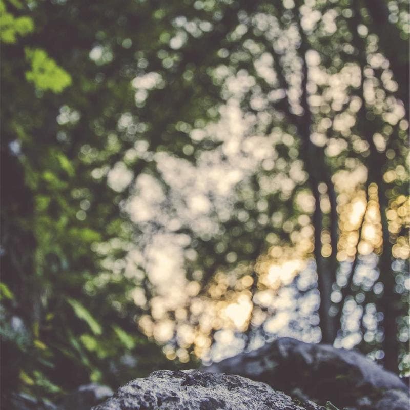 Merino Wool Crew Neck Sweater