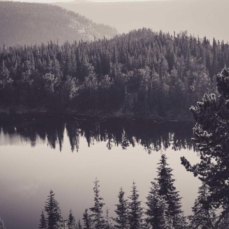 Organic Cotton Graphic Tee